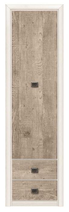 Шкаф Коен REG1D2S (ясень снежный, ясень снежный-сосна натуральная (Black Red White (БРВ)) )